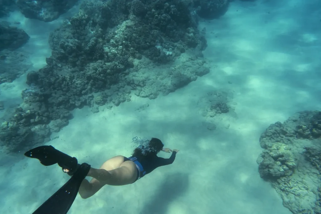 Buceo en la Isla del Fraile